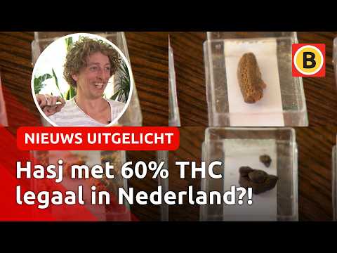 Blowers testen legale- en illegale hasj | Nieuws Uitgelicht