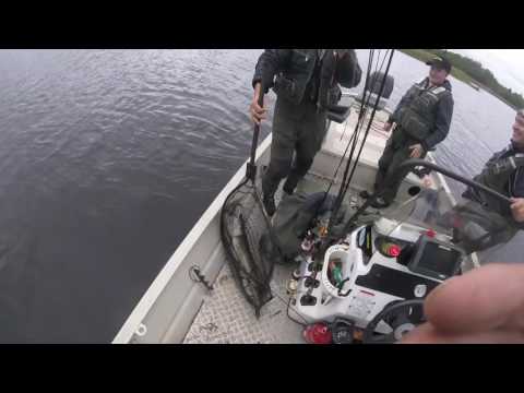 Ennätyshauki 113cm spintubella /my record pike