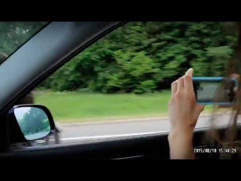 Der Bär auf der Autobahn [Video aus YouTube]