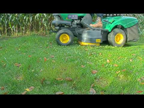 2019 09 30 Recke Germany Feedercam ~ Mowing The Feeder Place