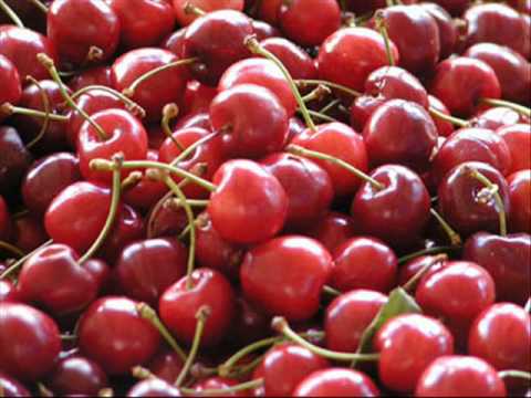 Gjurmet   -  Nji Grusht Qershi