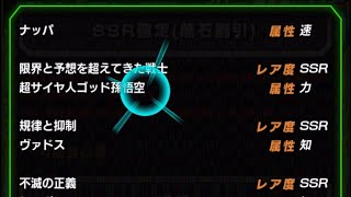 ドッカンバトル　ドラゴンボールを求めし者ガチャでLRを狙ってみた結果…