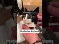 Building The LEGO Tuxedo Cat With My Tuxedo Cat Shorts Lego Cats