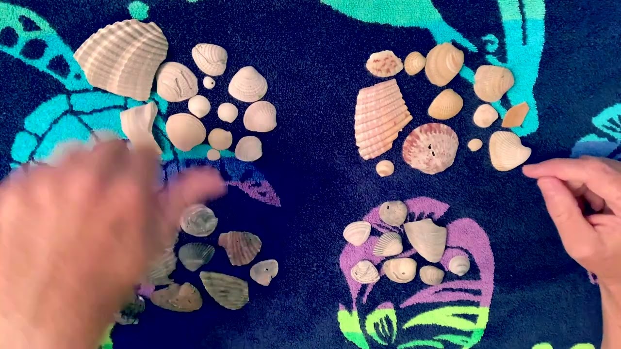 Classifying Objects by Size, Color, Texture