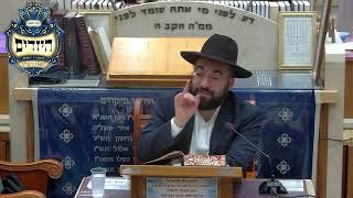 הרב מיכאל רביע | מענייני הלכות בדיקת חמץ | יזדים (בית הכנסת מוסאיוף) - התמונה מוצגת ישירות מתוך אתר האינטרנט יוטיוב. זכויות היוצרים בתמונה שייכות ליוצרה. קישור קרדיט למקור התוכן נמצא בתוך דף הסרטון