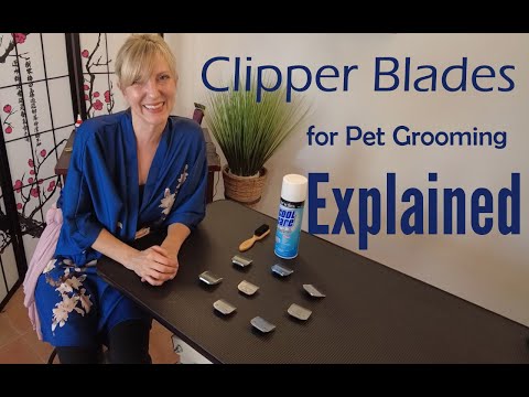 Clipper Blades for Pet Grooming Explained - Gina's...