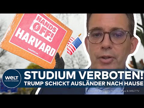 Video Thumbnail: HARVARD: Zoff eskaliert! Trump greift direkt an – Elite-Uni reagiert mit drastischer Klage!