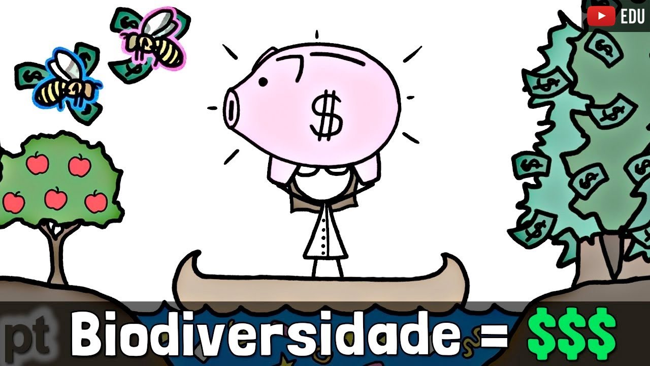 Por que a biodiversidade é boa para a economia? | Minuto da Terra