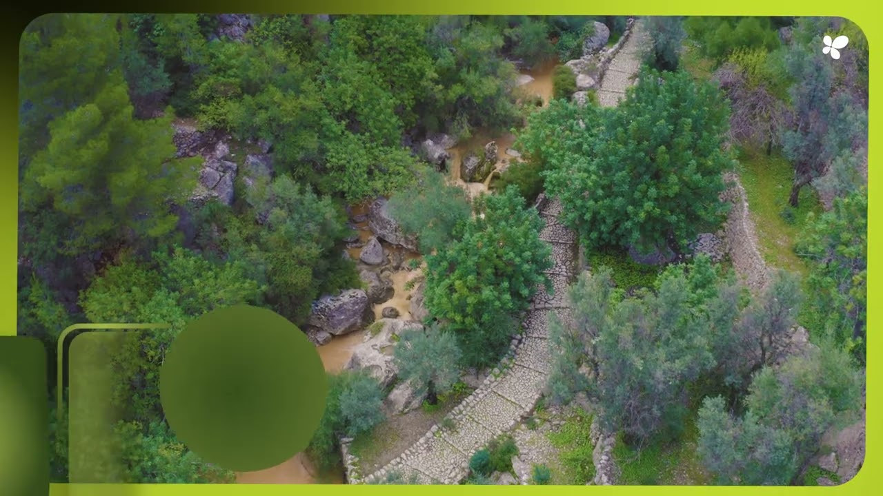 Joint Efforts to Restore Country Roads in the Serra de Tramuntana Region