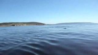 preview picture of video 'Whale goes under canoe Cape Breton Island, Nova Scotia, Canada'