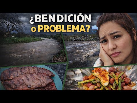 5 days of non-stop rain 🌧//And that's how our Sunday went