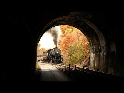 Western Maryland 734 In BrushTunnel