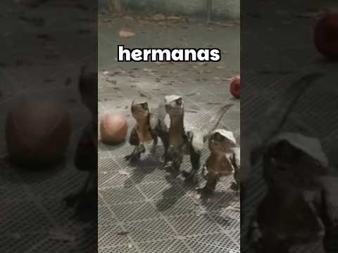 😭EL DETALLE MÁS TRISTE DE JURASSIC WORLD