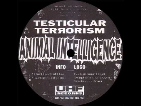Animal Intelligence - The Object Of Rave