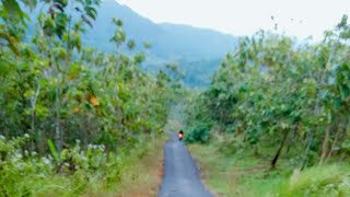 BUKIT BINTANG desa:Jalatunda. kecamatan:Mandiraja. kabupaten;Banjarnegara Jawa tengah Indonesia
