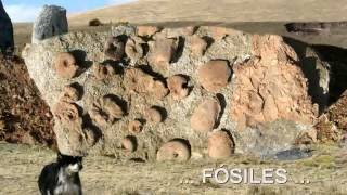preview picture of video 'Bosque de Piedras de Huayllay - Rural Tour 2009'