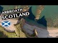 Arbroath - Scotland in 4K | Seaton Cliffs | Drone Footage