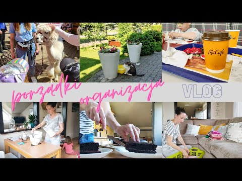 Vlog domowy || Porządki i organizacja || Pyszne ciasto czekoladowe