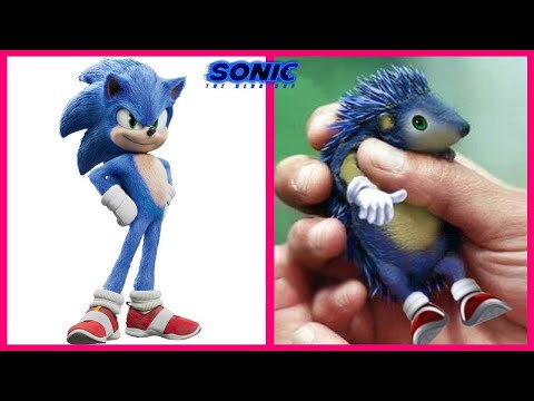 Sonic The Hedgehog Characters IN REAL LIFE