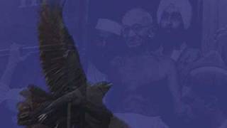 Blackbird - Kenny Rankin