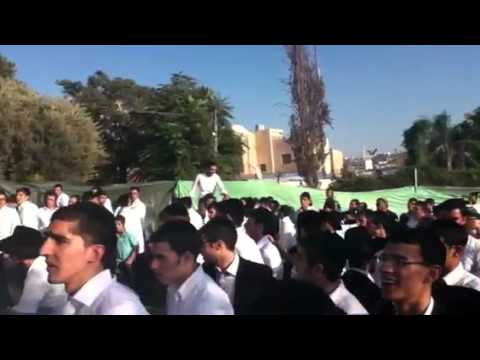 Concert 2 by chevron