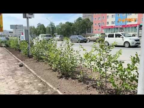 Муниципалитет меняет устаревшую городскую среду
