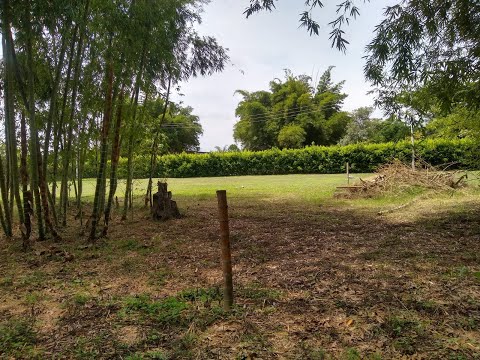 Lotes, Venta, Palmira - $415.000.000