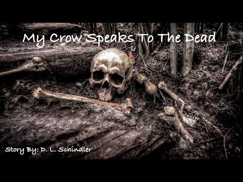My Crow Speaks To The Dead