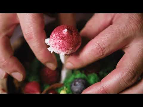 Ultzama lanza un vídeo promocional para mostrarlo como destino de naturaleza, gastronomía y turismo auténtico