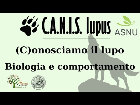 , title : '(C)onosciamo il lupo: Biologia e comportamento - C.A.N.I.S lupus'