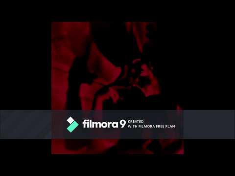 Rajotus & Pirijori - Silkkaa anatomiaa