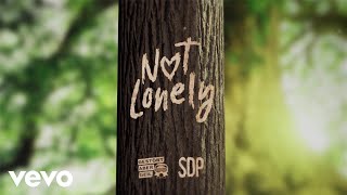 Musik-Video-Miniaturansicht zu Not Lonely Songtext von Gestört aber GeiL & SDP