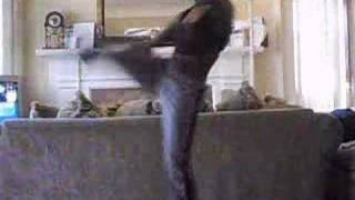 CHILLI CONTEST DUMB DUMB