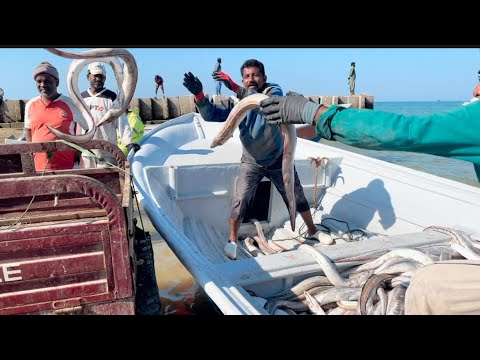 Jiwani Fishing in beach area | 2nd vlog 2024 Jaffer Khalid