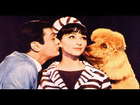 ♦Comedy Classics♦ 'Wild and Wonderful' (1964) Tony Curtis, Christine Kaufman