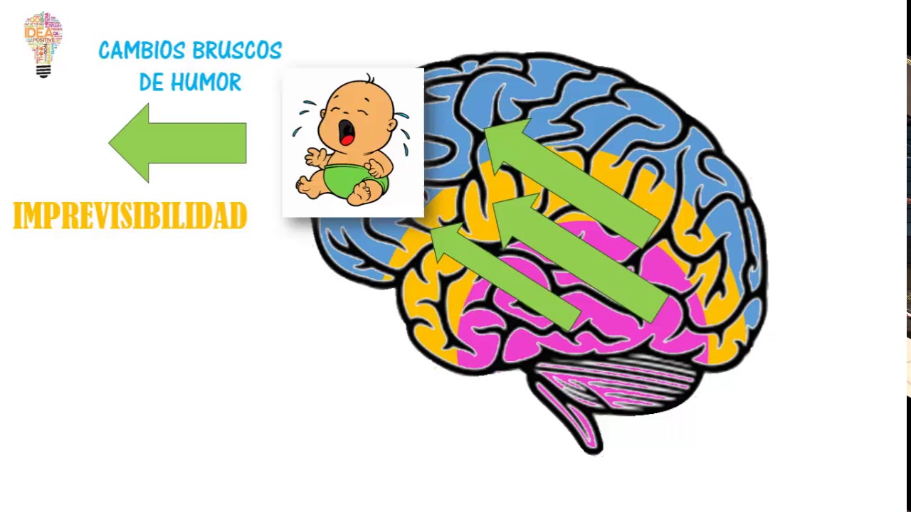 Ana María Ávila  Matamoros-2