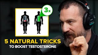 Neuroscientist: TRIPLE Your Testosterone Levels | Andrew Huberman