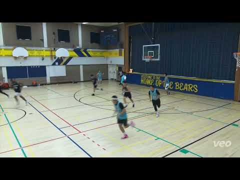 New York Stallions vs The Borough - saturday tier 5 - tcbl 2022 fall