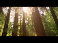 RUSH - "RIVENDELL" - (Subtitulada en español)