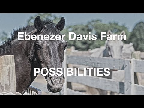 Video of 255 Davis Road | Bedford, Massachusetts equestrian real estate & homes by Suzanne Koller