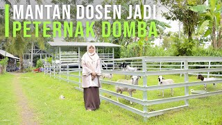 Download lagu Resign Dari Dosen Kini Sukses Ternak Domba & Penggerak Pemuda Untuk Berternak mp3 Download lagu Resign Dari Dosen Kini Sukses Ternak Domba & Penggerak Pemuda Untuk Berternak mp3