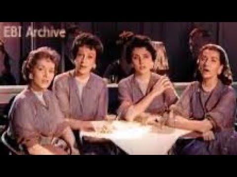 The Chordettes - “Wonderful One”