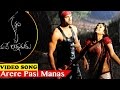 Krishnam Vande Jagadgurum Songs Arere Pasi Manasa Video Song Rana Nayanthara