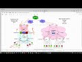 Spine Leaf Data Center architecture and design compared to traditional design