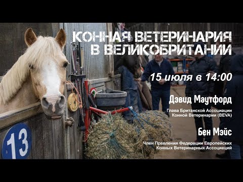 , title : 'Конная ветеринария в Великобритании'