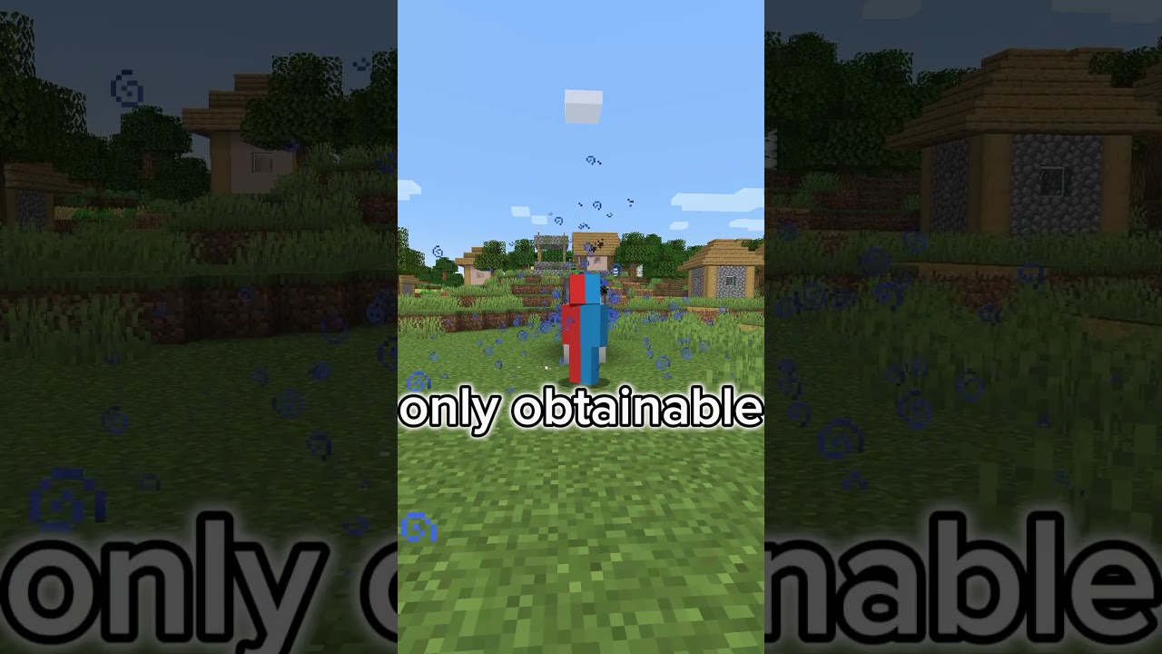 Most unknown item in minecraft  #fypusa #minecraft