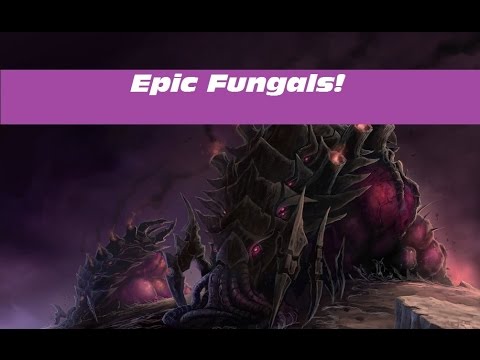 Slechte fungal Goeie fungal StarCraft 2 Dutch.