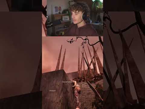 Paul wird gesavet | #palex_live auf #Twitch