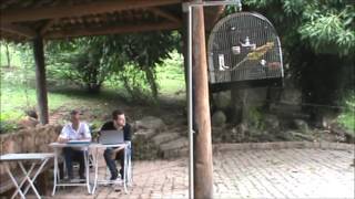 15a. Etapa Brasileiro de Curios - Vinhedo