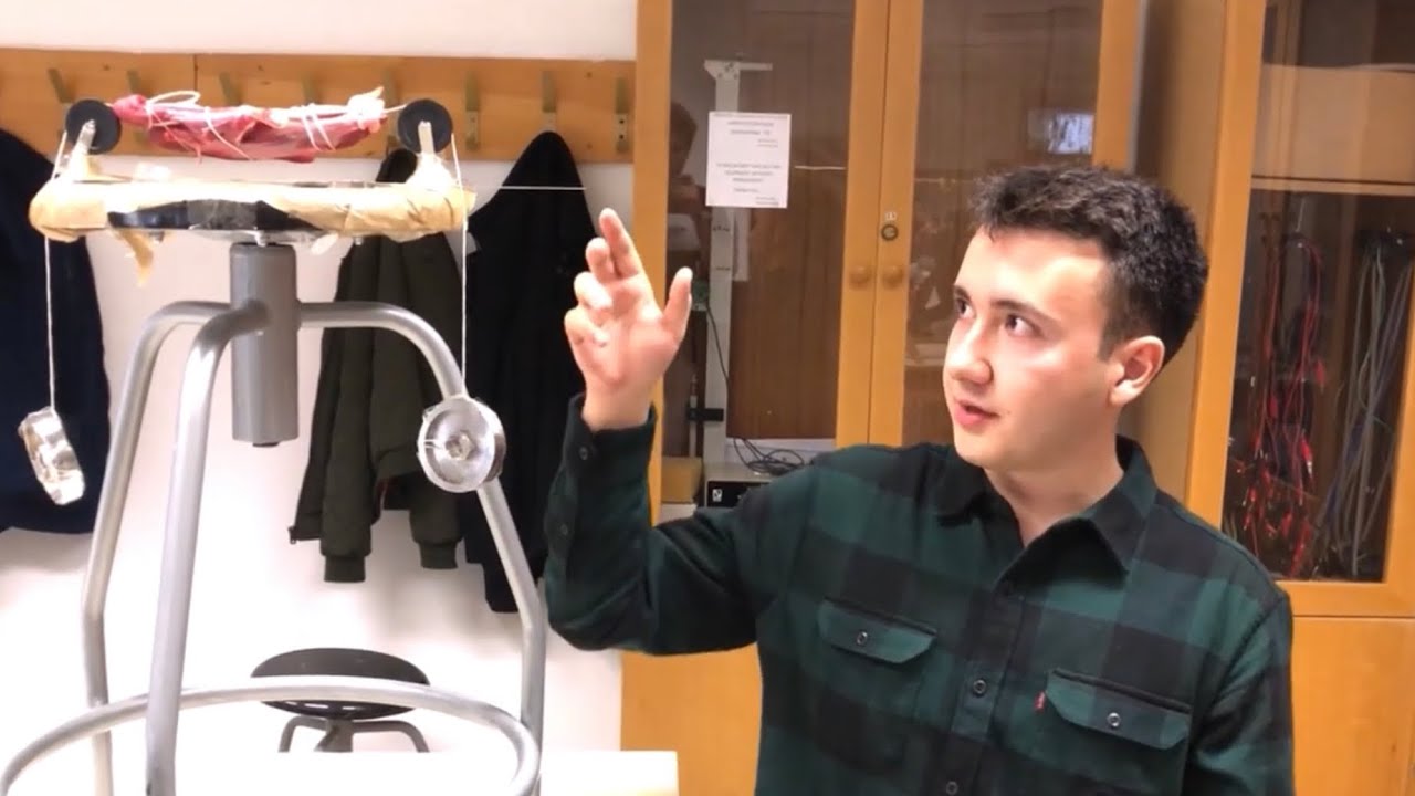 Bilkent University | Physics 101 Project | Modeling Animal Tendons as Springs | Emir Türkölmez